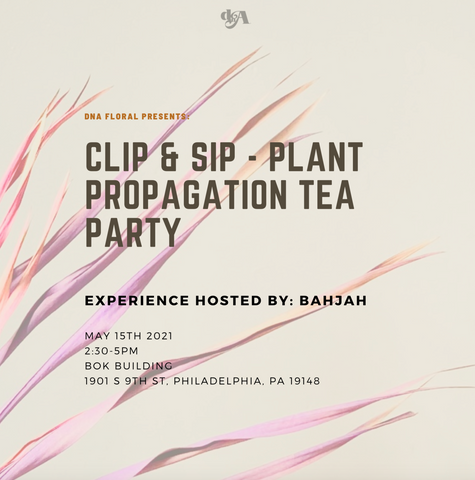 Clip & Sip Propagation Tea Party